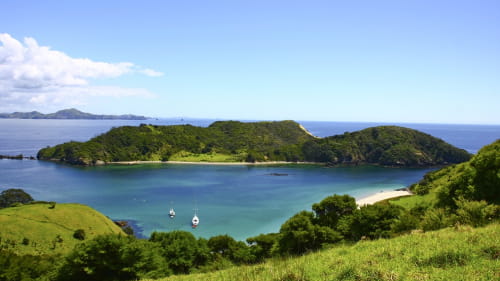 New Zealand - Bay of Islands scenery
